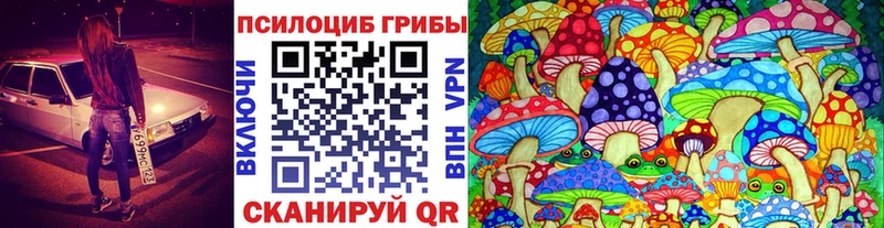 как найти   Мосальск  Галлюциногенные грибы MAGIC MUSHROOMS 